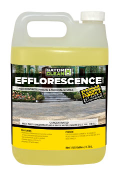Efflorescence Cleaner